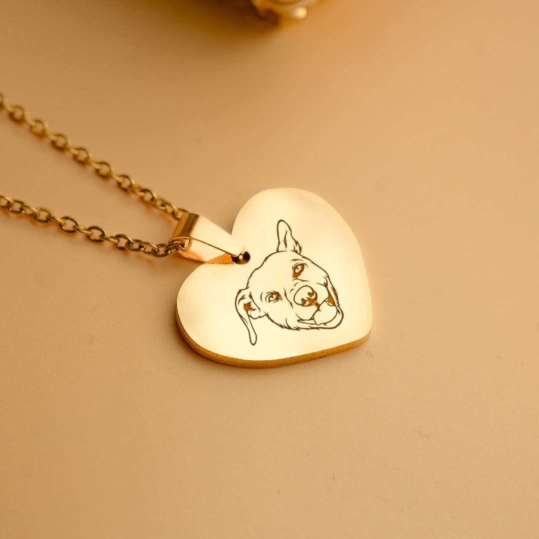 Collar Personalizado Corazon Mascotas Baño Oro 18k