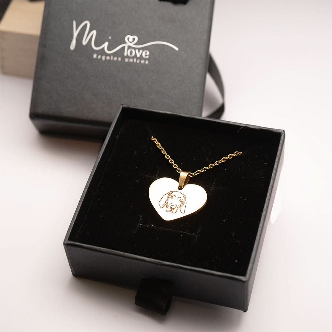 Colar oval personalizado para animais de estimação banhado a ouro 18k